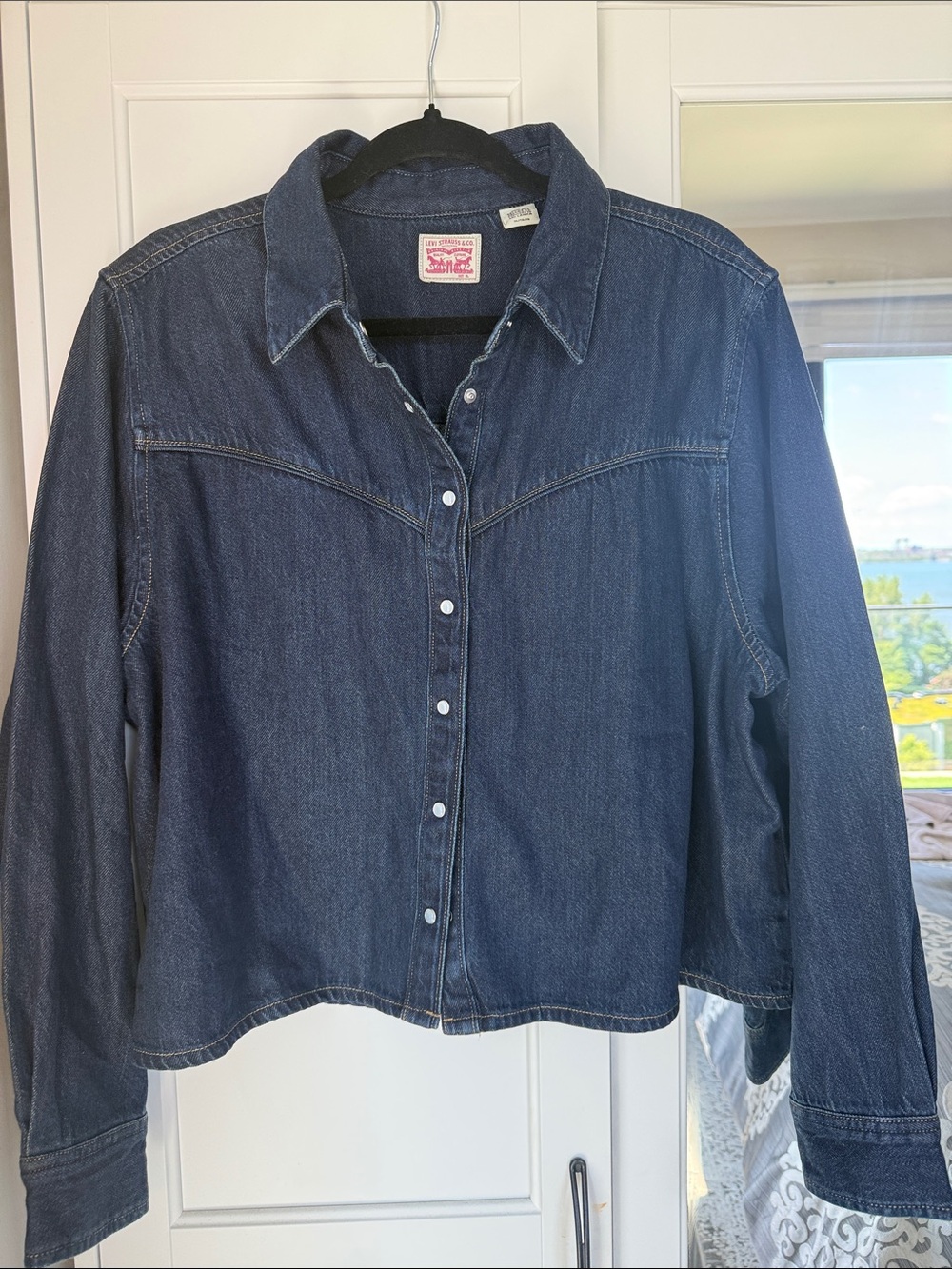 Levi’s Jacket ( or top )